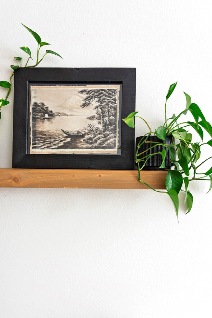 Dallas Branding Photographer with your dogs