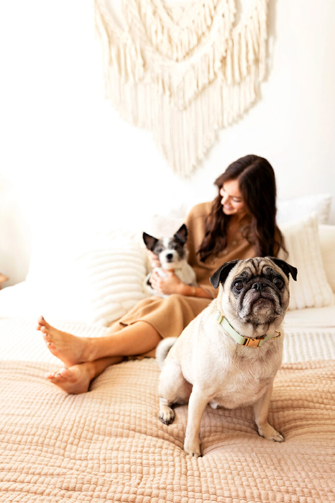 Dallas Branding Photographer - with your dogs